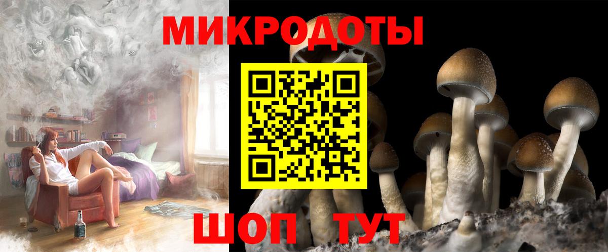 Галлюциногенные грибы MAGIC MUSHROOMS  купить наркотик  Нижнекамск  Вход с VPN 